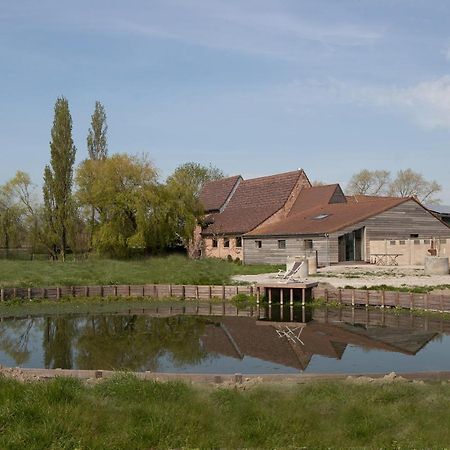 Landelijk Vakantiehuis In Diksmuide Met Een Tuin En Vijver 외부 사진