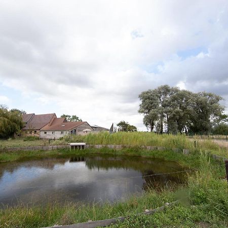 Landelijk Vakantiehuis In Diksmuide Met Een Tuin En Vijver 외부 사진