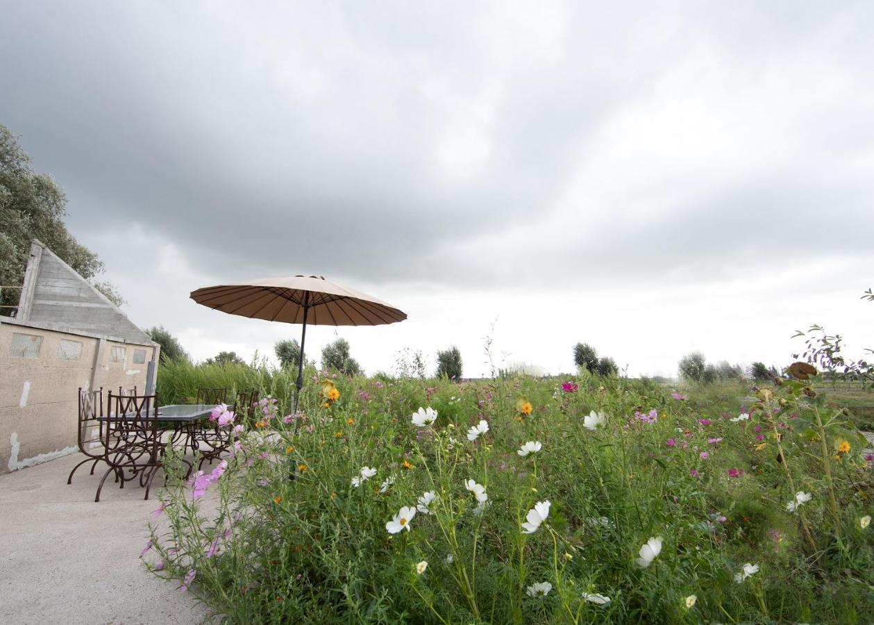 Landelijk Vakantiehuis In Diksmuide Met Een Tuin En Vijver 외부 사진